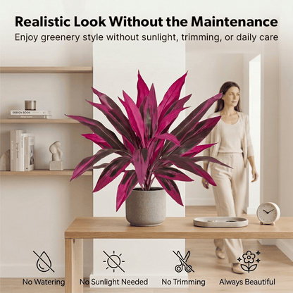 🎁 Mother’s Day 60% OFF - Artificial Boston Fern & Dragon's Blood Tree Plants