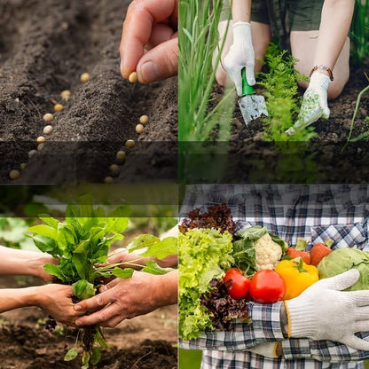 🥦Ultimate Survival Seed Vault  |🌿50-Year Shelf Life✨
