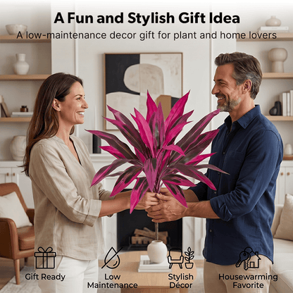 🎁 Mother’s Day 60% OFF - Artificial Boston Fern & Dragon's Blood Tree Plants