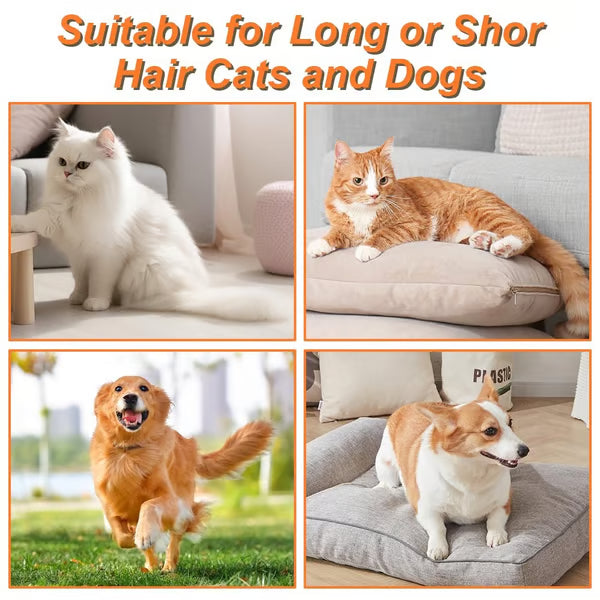 🏆Over 65,000 SOLD!🔥Steamy Pet Brush-a quick and easy pet hair removal comb🐾